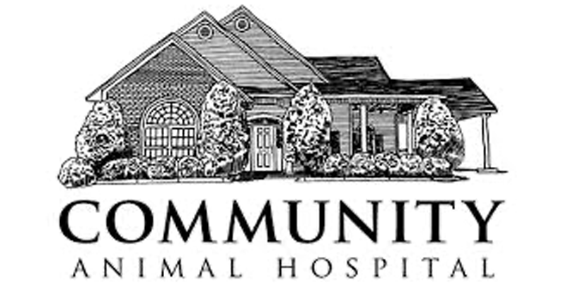 Veterinary Business Coaching